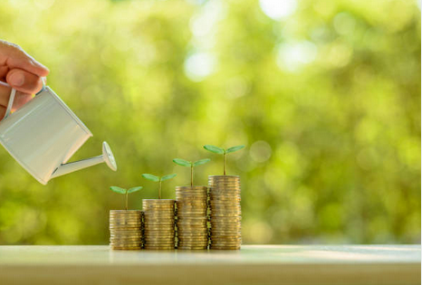 Grow Your Money